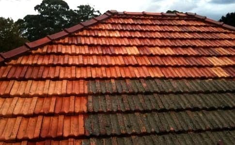 Roof maintenance and cleaning