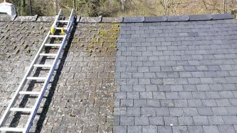 Roof before moss treatment