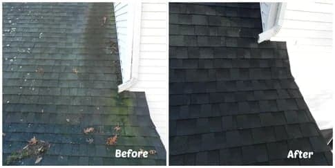 Clean roof after moss treatment