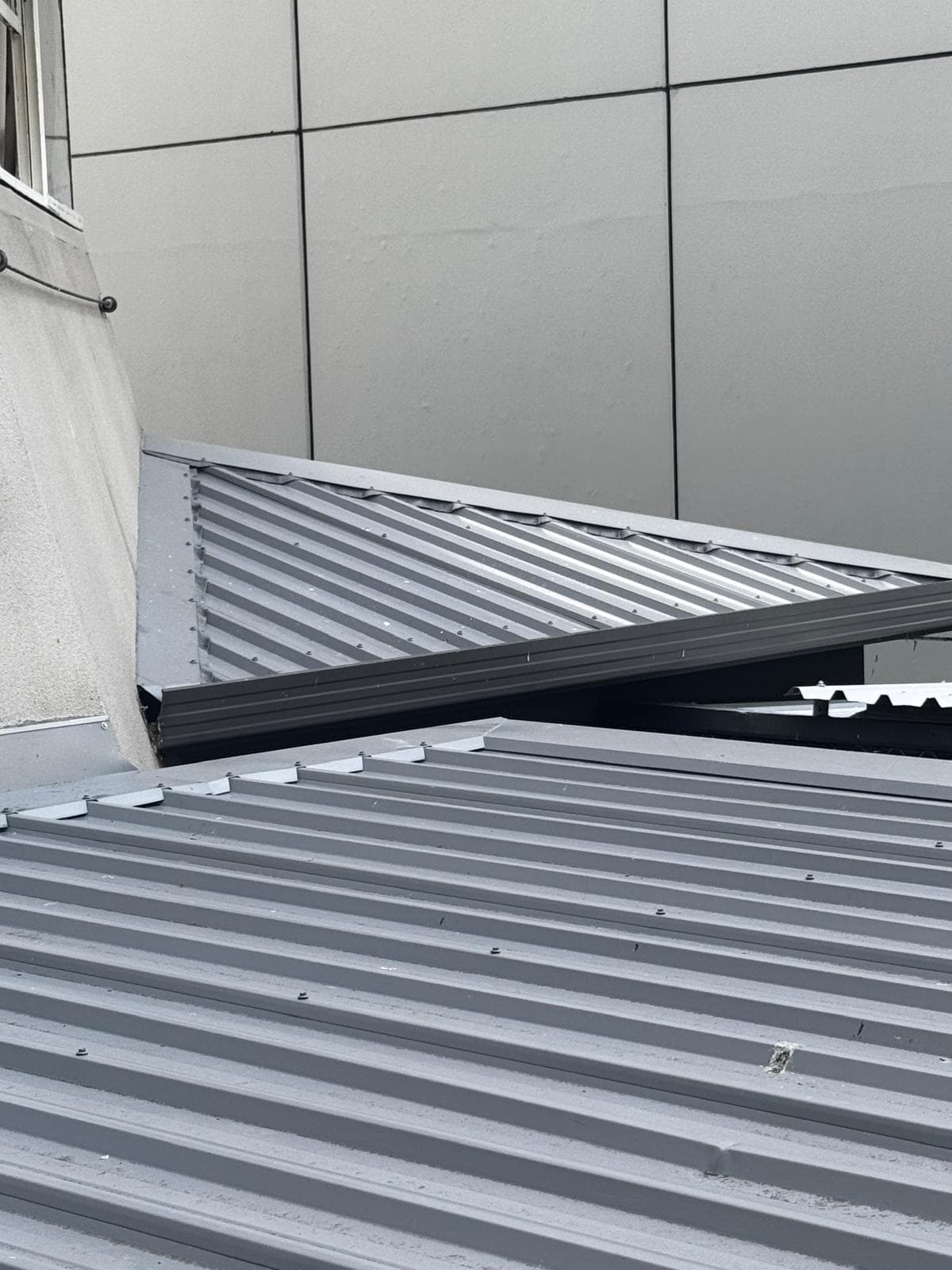 Professional roof maintenance Auckland