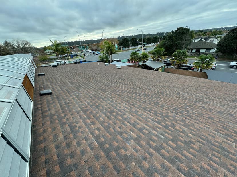 Residential roofing specialist Auckland