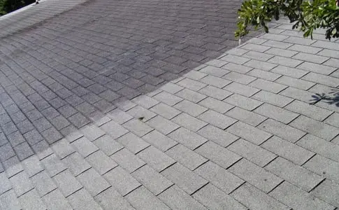 Roof Maintenance