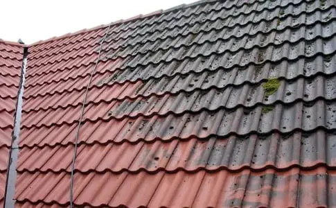 Roof Maintenance