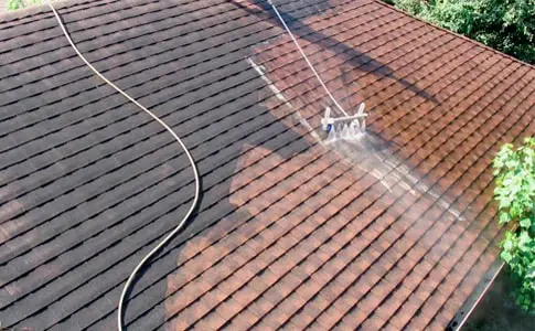 Roof Maintenance