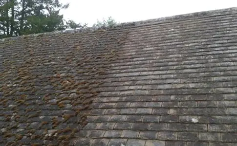 Roof Maintenance