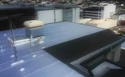 Commercial Roof